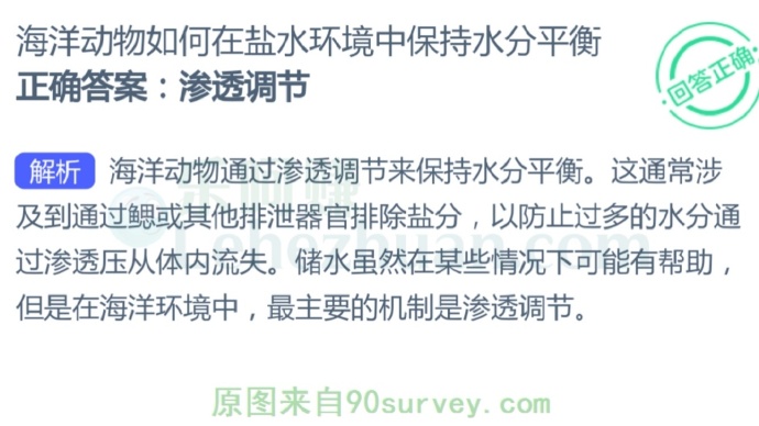 海洋动物如何在盐水环境中保持水分平衡?