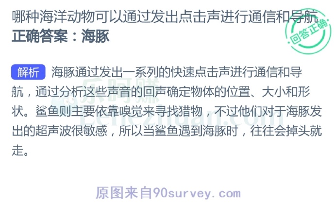 哪种海洋动物可以通过发出点击声进行通信和导航?