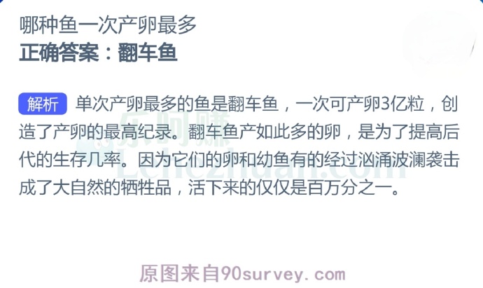 哪种鱼一次产卵最多?