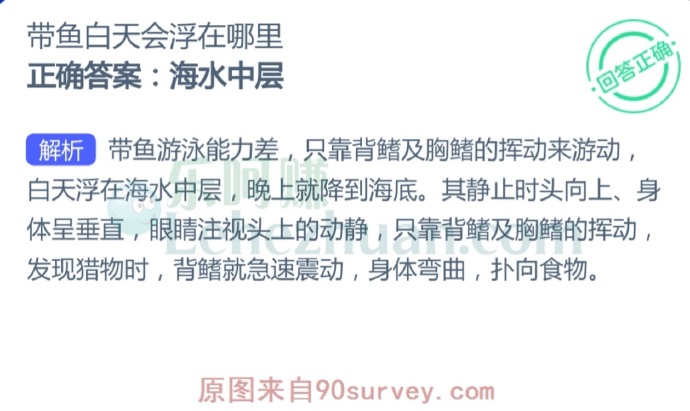 带鱼白天会浮在哪里?
