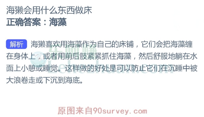海獭会用什么东西做床?