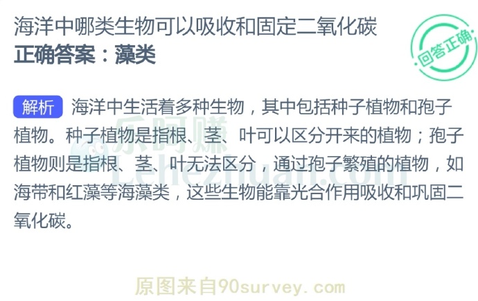 海洋中哪类生物可以吸收和固定二氧化碳?