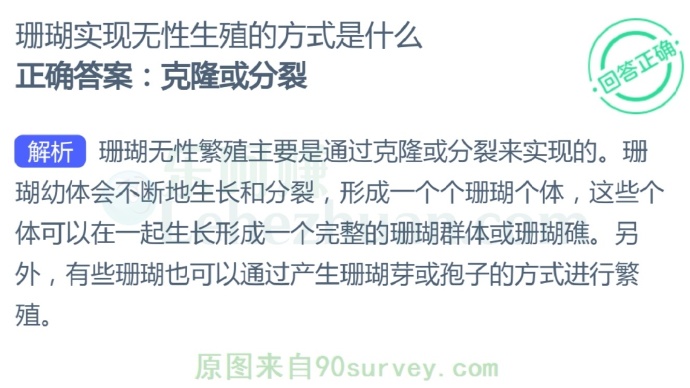 珊瑚实现无性生殖的方式是什么?