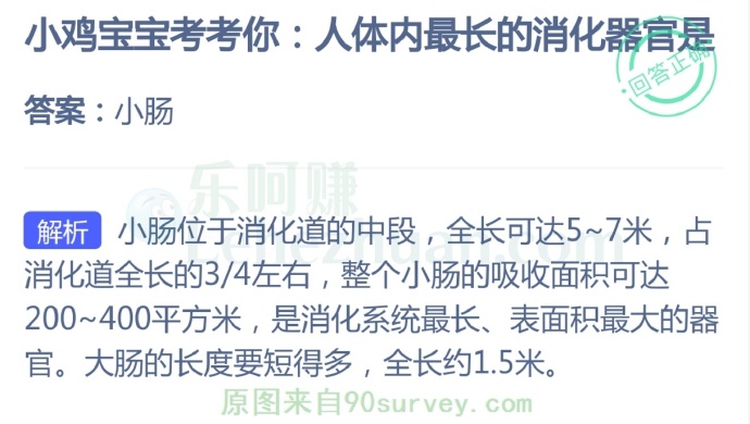 人体内最长的消化器官是?