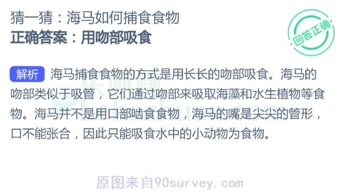 海马如何捕食食物?