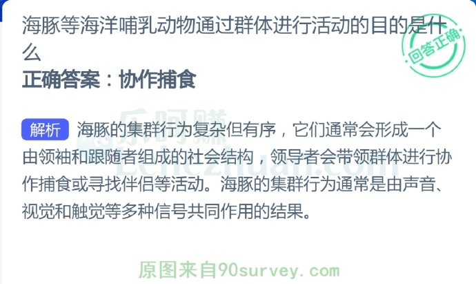 海豚等海洋哺乳动物通过群体进行活动的目的是什么?