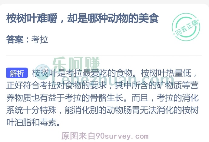 桉树叶难嚼,却是哪种动物的美食?