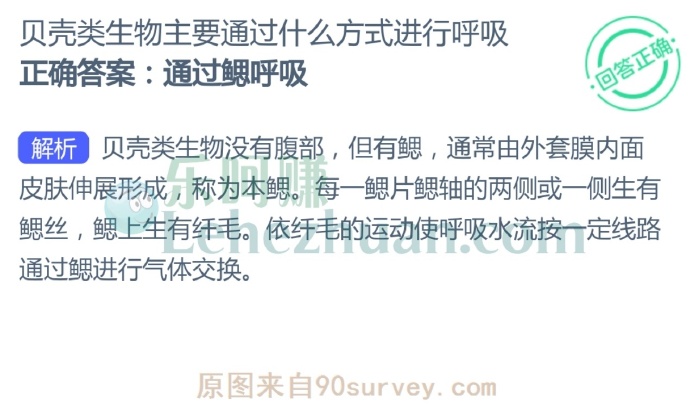贝壳类生物主要通过什么方式进行呼吸?