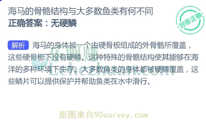 海马的骨骼结构与大多数鱼类有何不同?