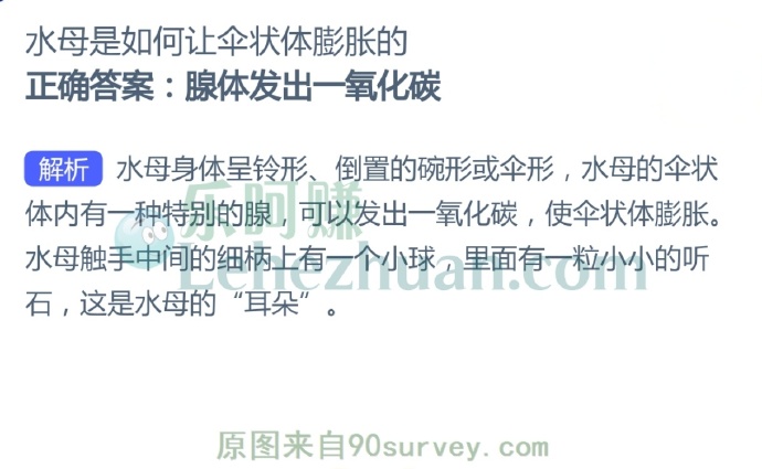 水母是如何让伞状体膨胀的?
