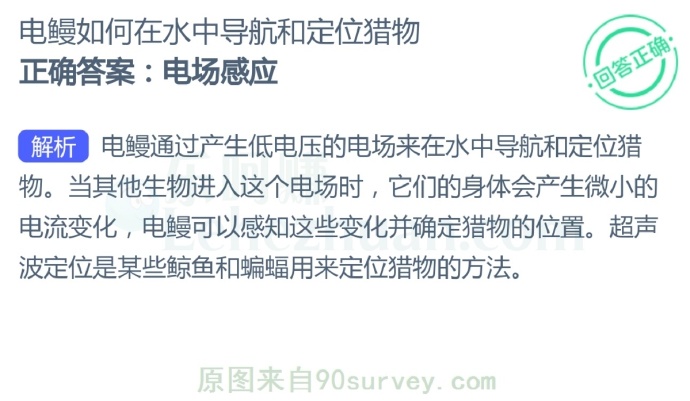 电鳗如何在水中导航和定位猎物?