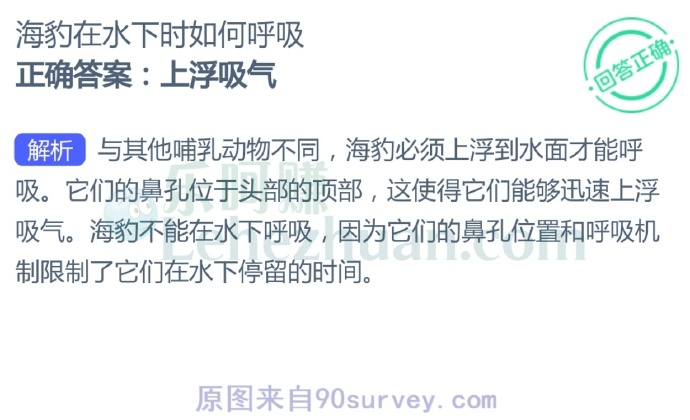 海豹在水下时如何呼吸?