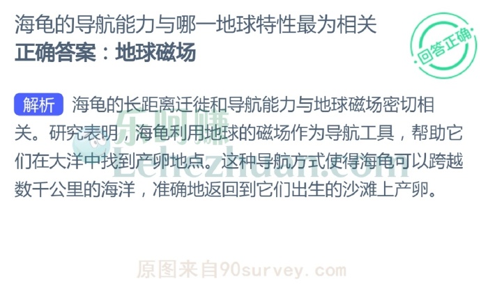 海龟的导航能力与哪一地球特性最为相联?