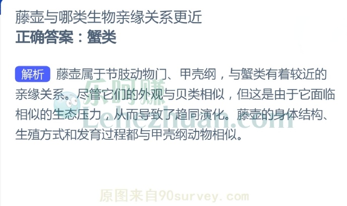 藤壶与哪类生物亲缘关系更近?