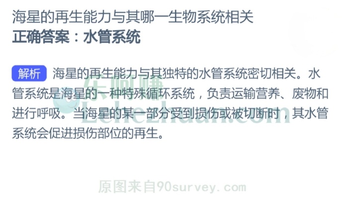 海星的再生能力与其哪一生物系统相关?