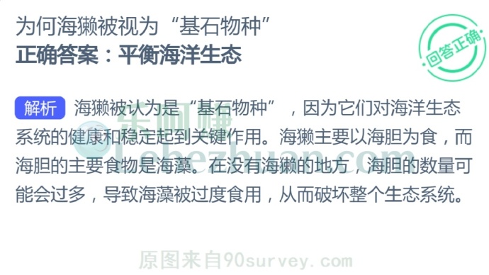 为何海獭被视为“基石物种”?