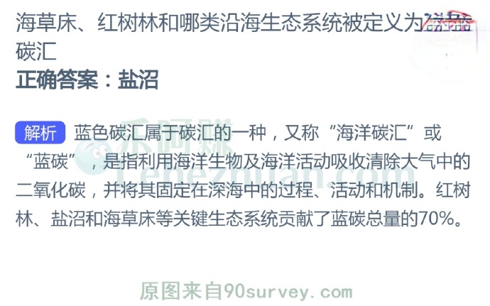 海草床、红树林和哪类沿海生态系统被定义为蓝色碳汇?
