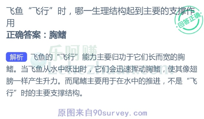 飞鱼“飞行”时,哪一生理结构起到主要的支撑作用?