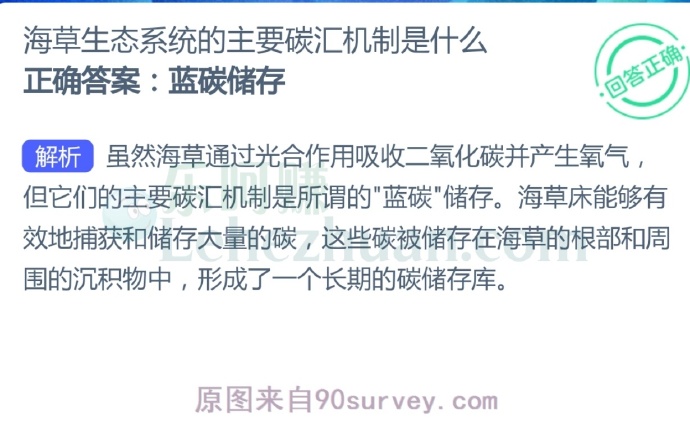 海草生态系统的主要碳汇机制是什么?