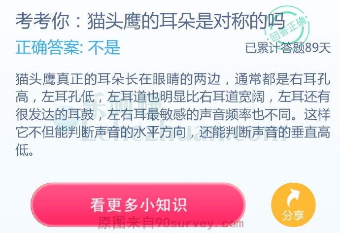 猫头鹰的耳朵是对称的吗?