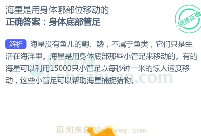 海星是用身体底部那些小管足来移动的