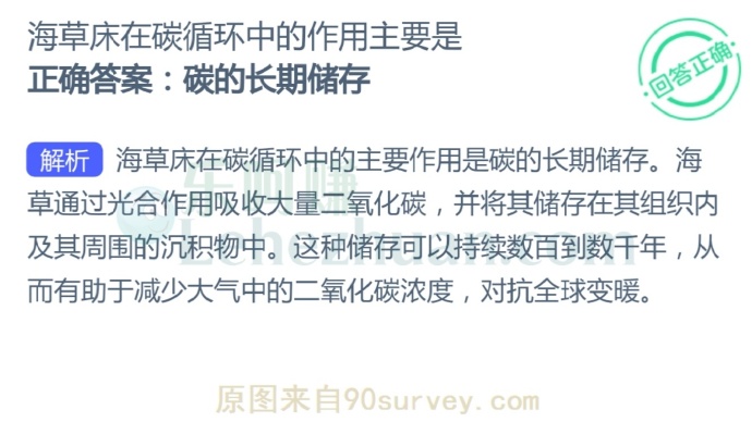 海草床在碳循环中的作用主要是?