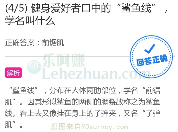 健身爱好者口中的“鲨鱼线”,学名叫什么?