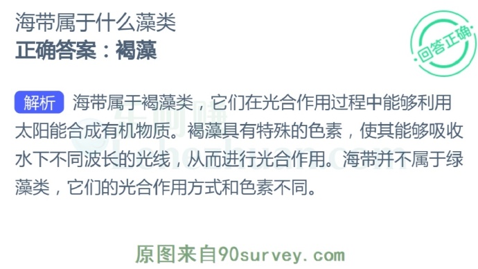 海带属于什么藻类?