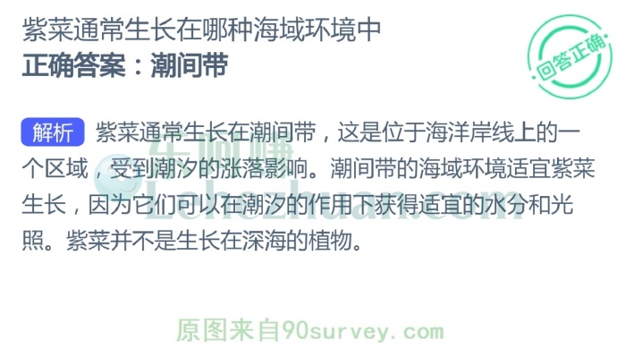 少林武术发源于哪里?