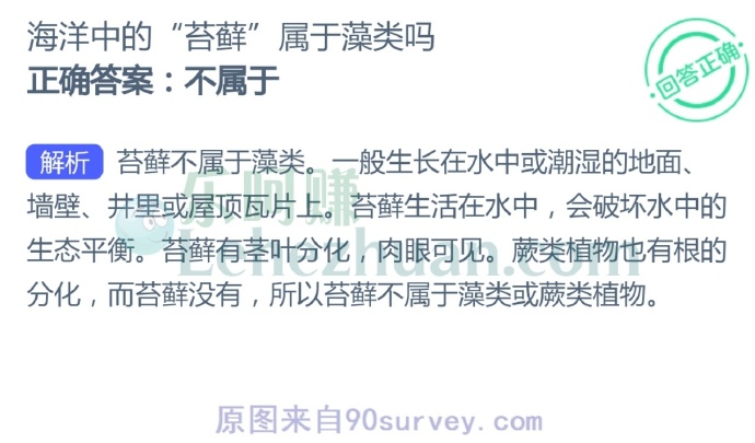 海洋中的“苔藓”属于藻类吗?