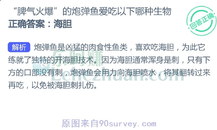 脾气火爆的炮弹鱼爱吃以下哪种生物?