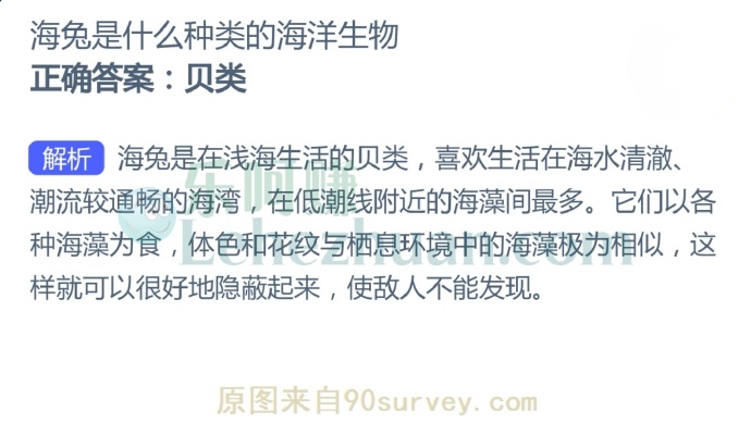 海兔是什么种类的海洋生物?