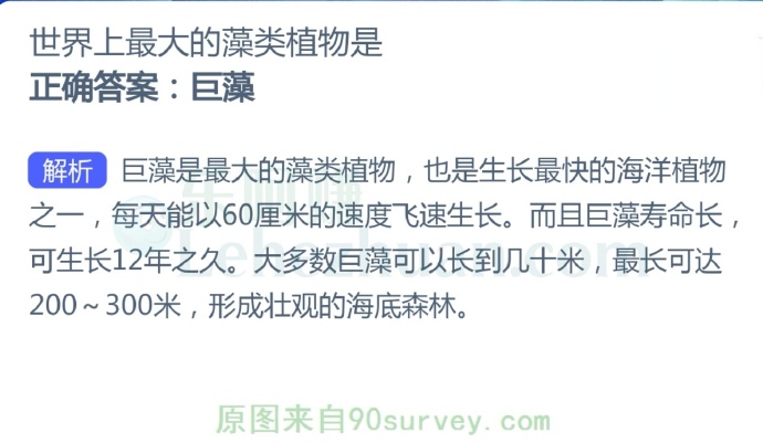 世界上最大的藻类植物是?