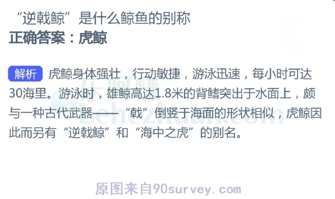 “逆戟鲸”是什么鲸鱼的别称?