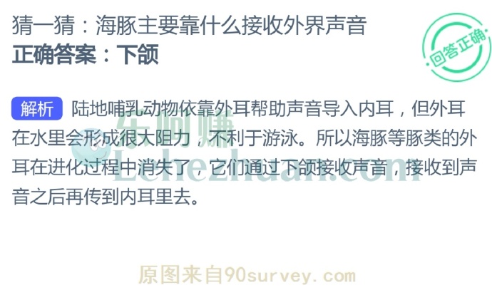 海豚主要靠什么接收外界声音?