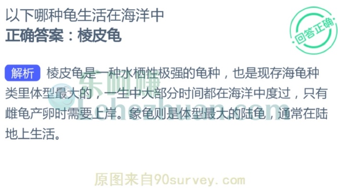 以下哪种龟生活在海洋中?