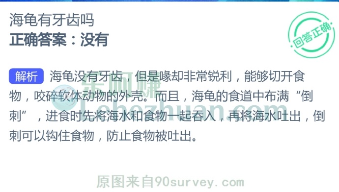 海龟有牙齿吗?