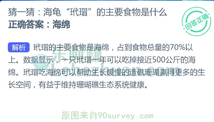 海龟“玳瑁”的主要食物是什么?