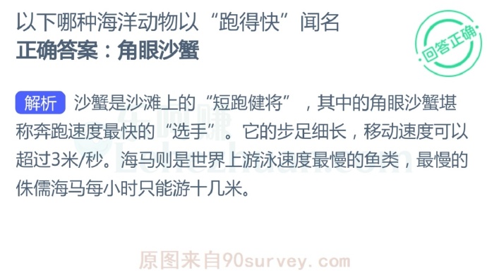 以下哪种海洋动物以“跑得快”闻名?