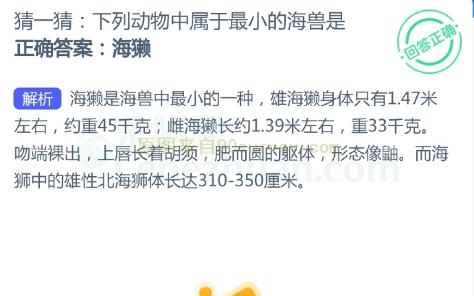 下列动物中属于最小的海兽是?