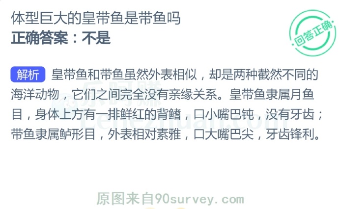 体型巨大的皇带鱼是带鱼吗?
