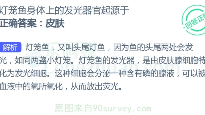 灯笼鱼身体上的发光器官起源于?