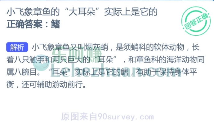 小飞象章鱼的“大耳朵”实际上是它的?