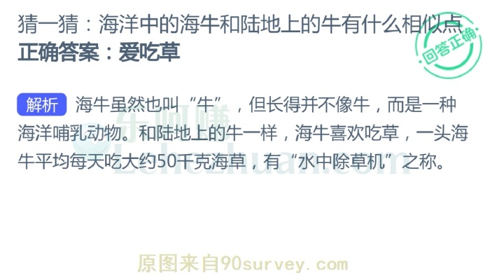 海洋中的海牛和陆地上的牛有什么相似点?