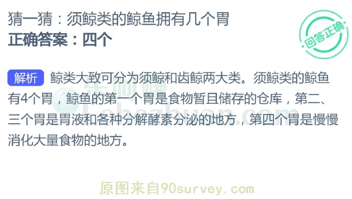 须鲸类的鲸鱼拥有几个胃?