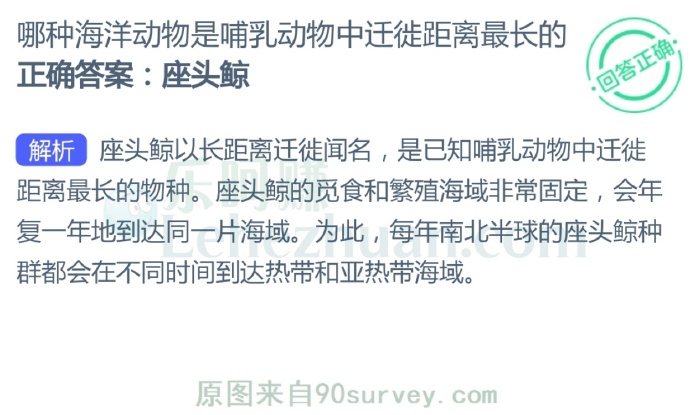 哪种海洋动物是哺乳动物中迁徙距离最长的?