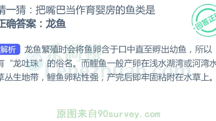 把嘴巴当作育婴房的鱼类是?