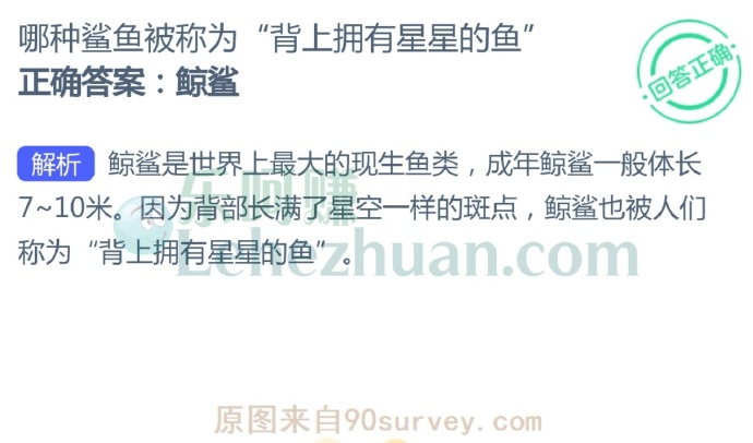 哪种鲨鱼被称为“背上拥有星星的鱼”?