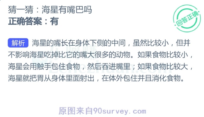 海星有嘴巴吗?