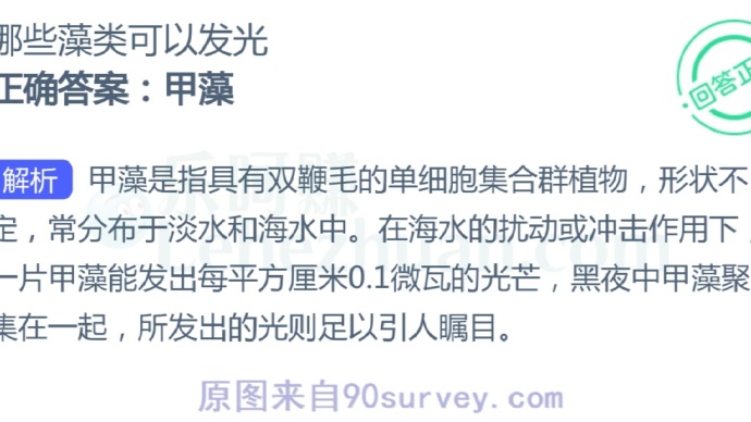 哪些藻类可以发光?